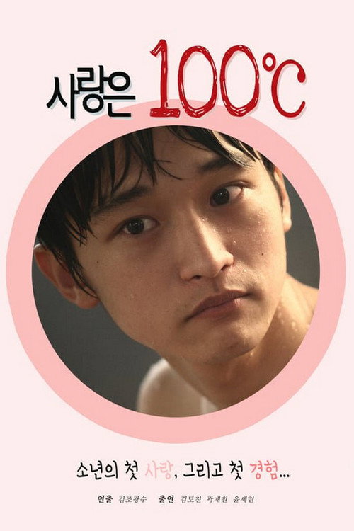 Póster de 사랑은 100℃