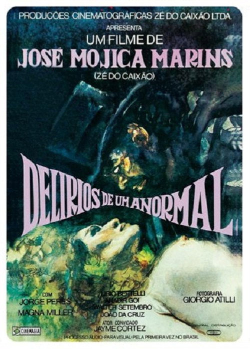 Póster de Delírios de um anormal