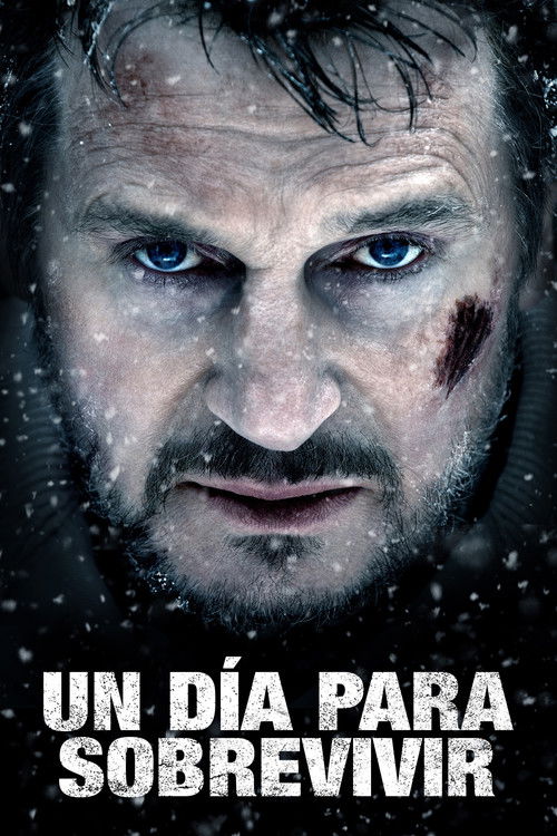 Póster de Un día para sobrevivir
