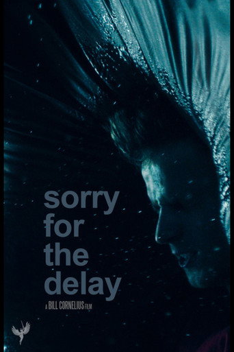 Póster de Sorry for the Delay