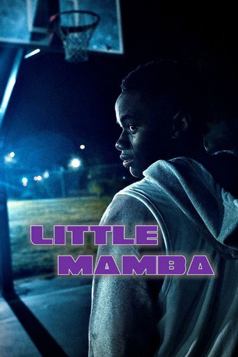 Póster de Little Mamba