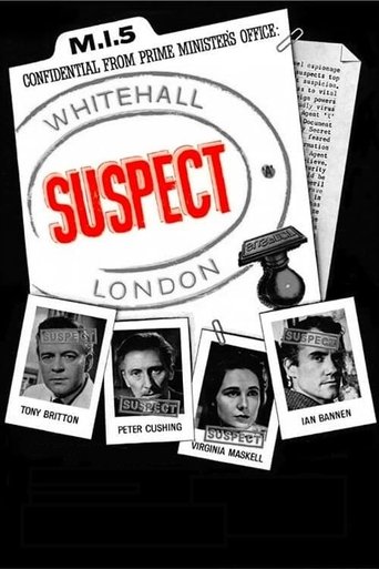 Póster de Suspect