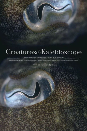 Póster de Creatures of the Kaleidoscope