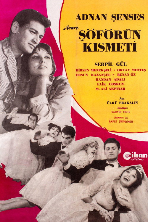 Póster de Avare Şoförün Kısmeti
