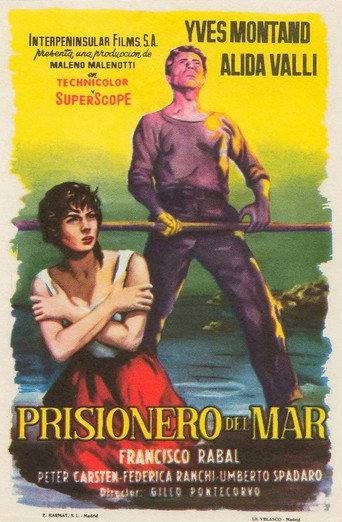 Póster de La grande strada azzurra