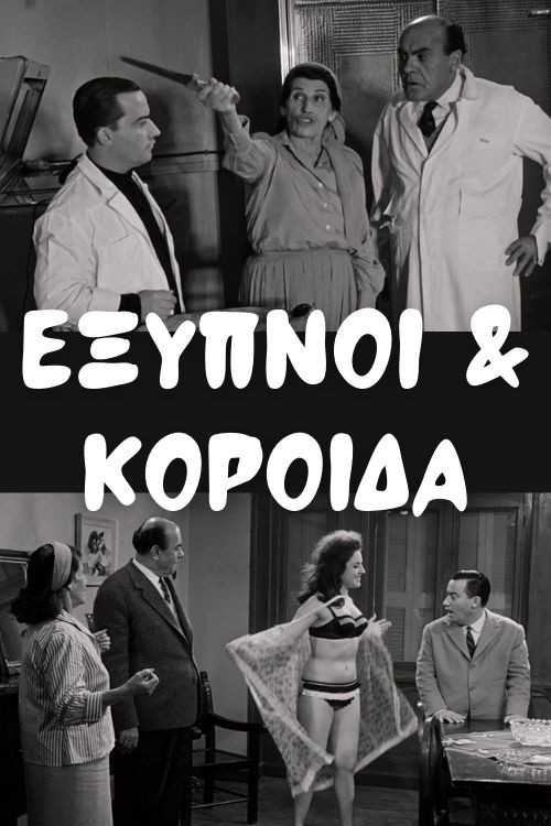 Póster de Έξυπνοι και Κορόιδα