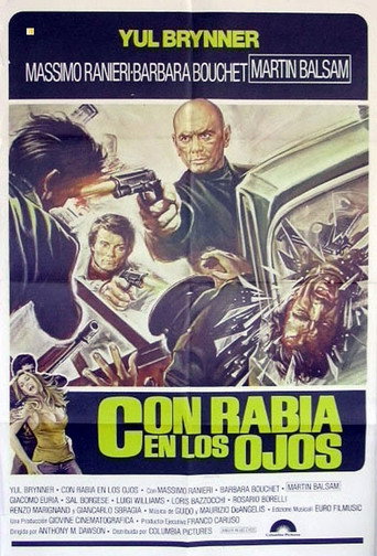 Póster de Con la rabbia agli occhi