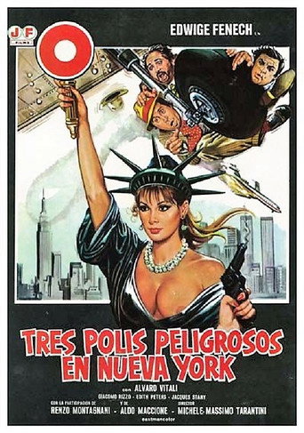 Póster de La poliziotta a New York