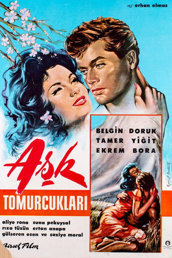 Póster de Aşk Tomurcukları
