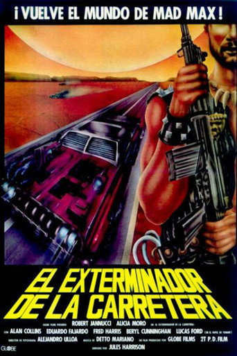 Póster de Il giustiziere della strada