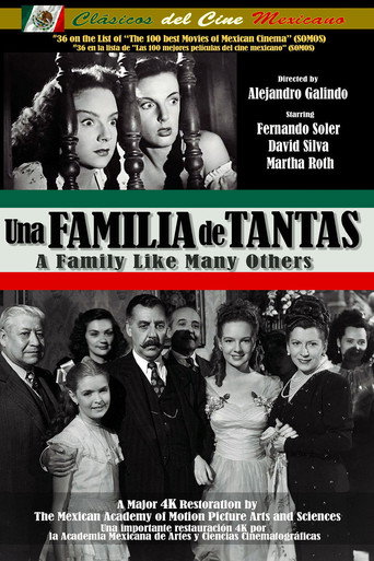 Póster de Una familia de tantas