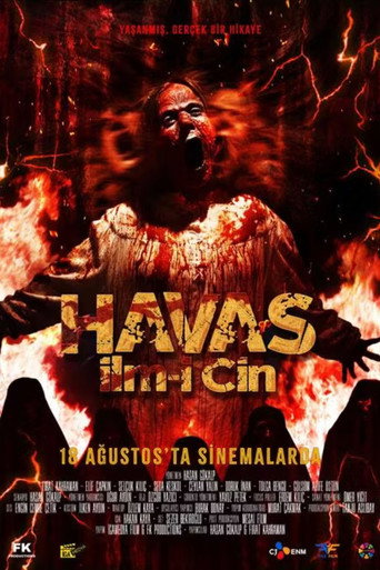 Póster de Havas İlm-i Cin