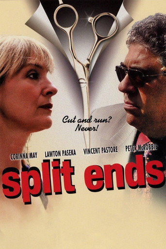 Póster de Split Ends