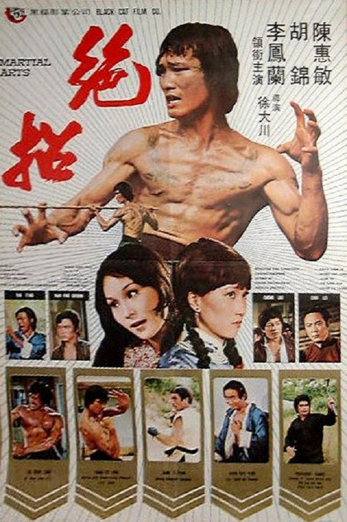 Póster de 絕招