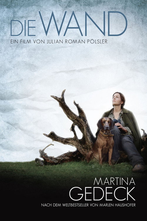 Póster de Die Wand