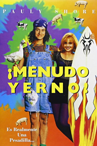 Póster de Son in Law