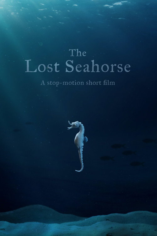 Póster de The Lost Seahorse