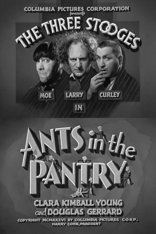 Póster de Ants in the Pantry