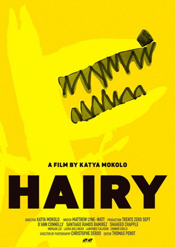 Póster de HAIRY