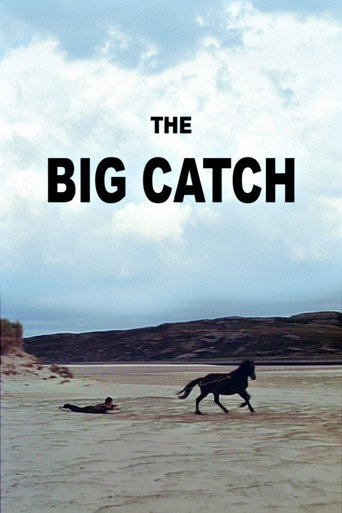 Póster de The Big Catch