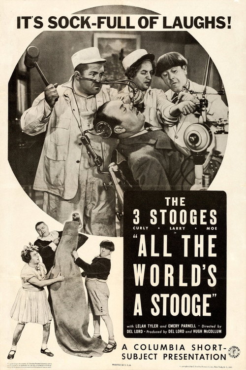 Póster de All the World's a Stooge