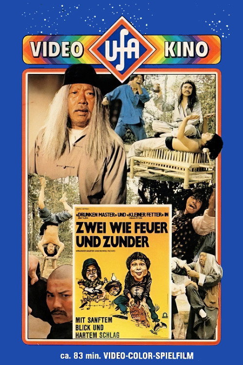 Póster de 怪拳怪招怪師傅