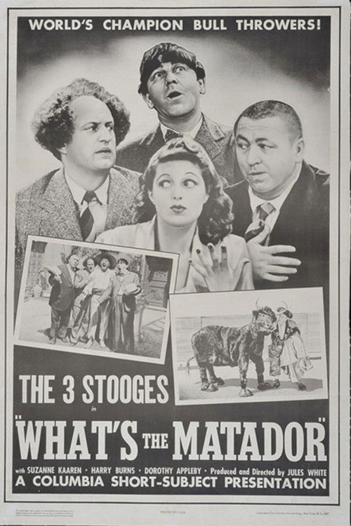 Póster de What's the Matador?