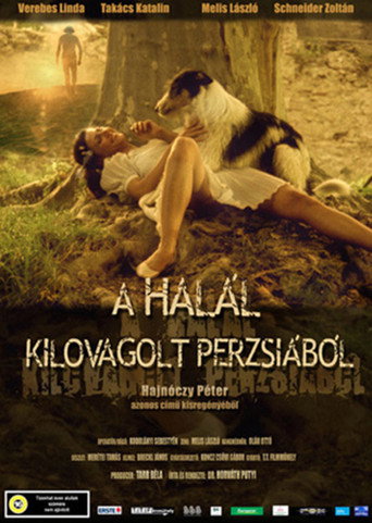 Póster de A halál kilovagolt Perzsiából