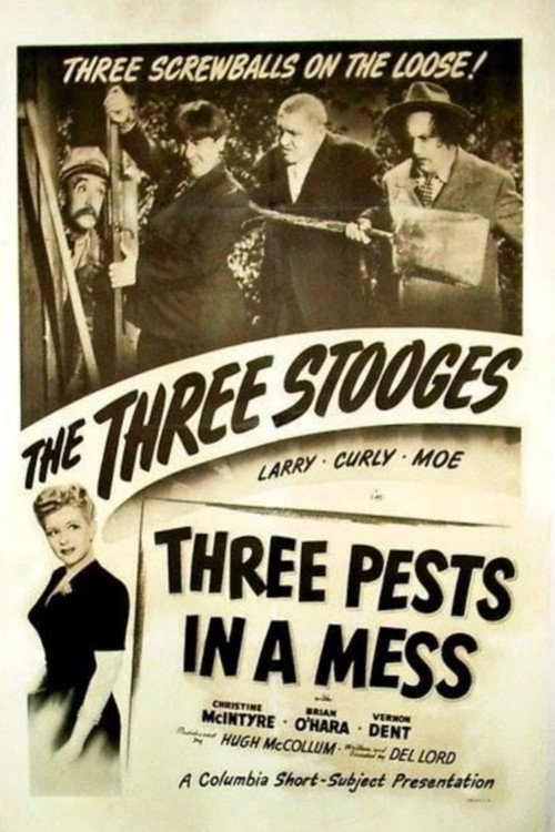 Póster de Three Pests in a Mess