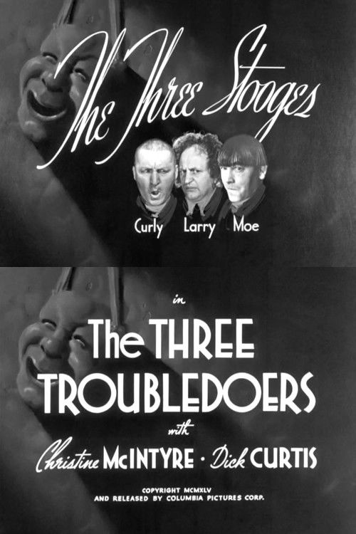 Póster de The Three Troubledoers
