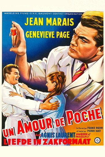 Póster de Amour de poche