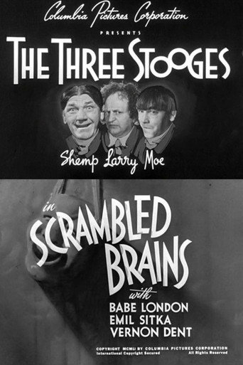 Póster de Scrambled Brains