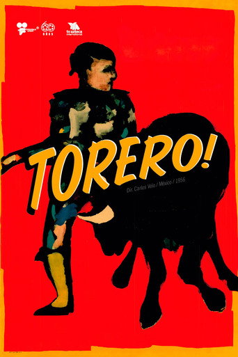 Póster de Torero!