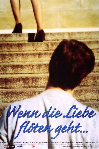 Póster de Wenn die Liebe flöten geht