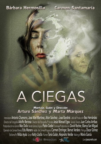 Póster de A ciegas