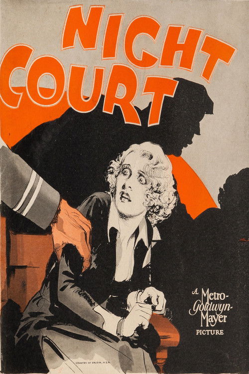 Póster de Night Court