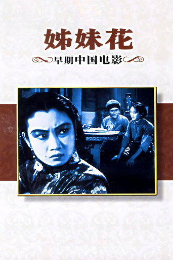 Póster de 姊妹花
