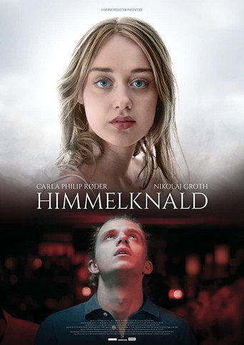 Póster de Himmelknald