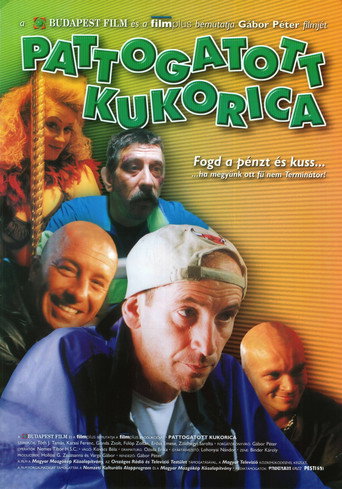 Póster de Pattogatott Kukorica