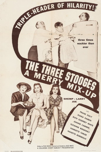 Póster de A Merry Mix-Up