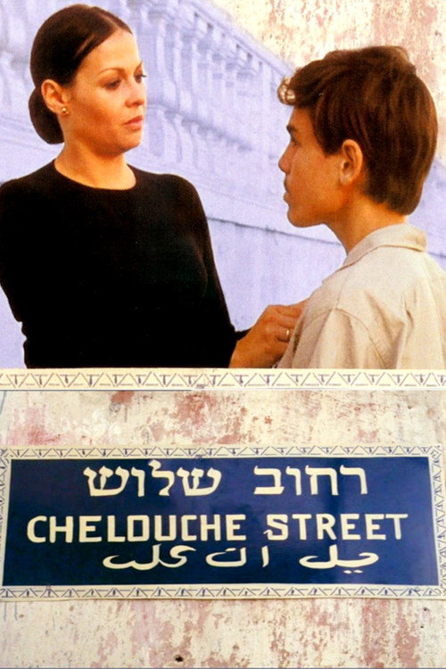 Póster de הבית ברחוב שלוש