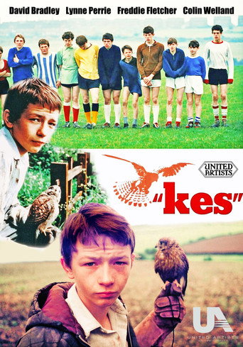 Póster de Kes