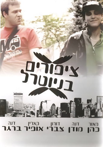 Póster de ציפורים בניוטרל