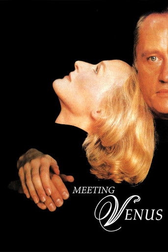 Póster de Meeting Venus