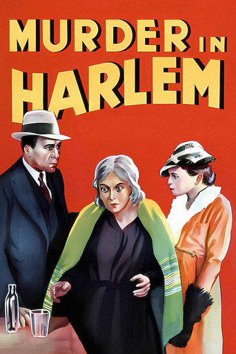 Póster de Murder In Harlem