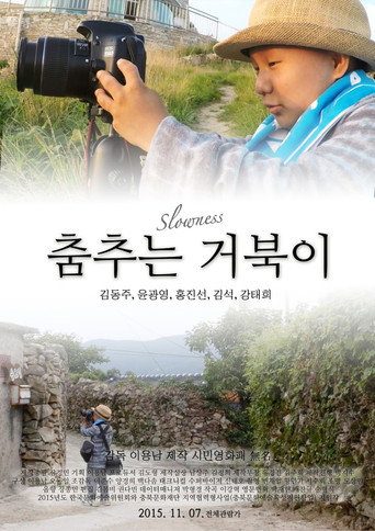 Póster de 춤추는 거북이