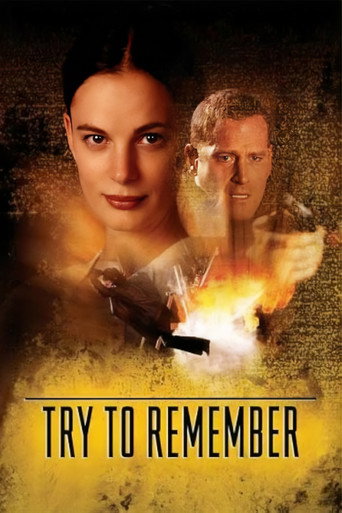 Póster de Try to Remember
