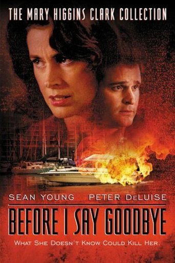 Póster de Before I Say Goodbye
