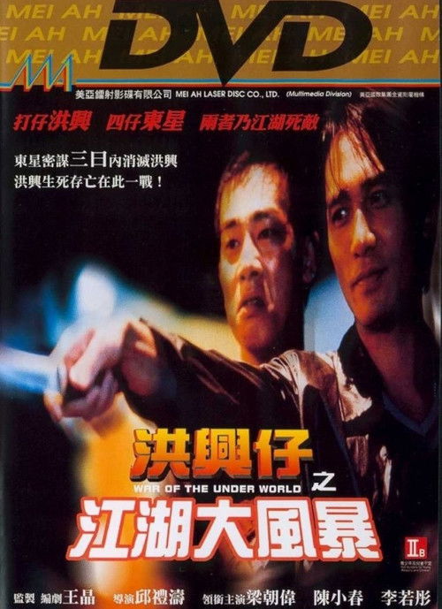 Póster de 洪興仔之江湖大風暴