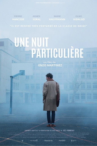 Póster de Une nuit particulière